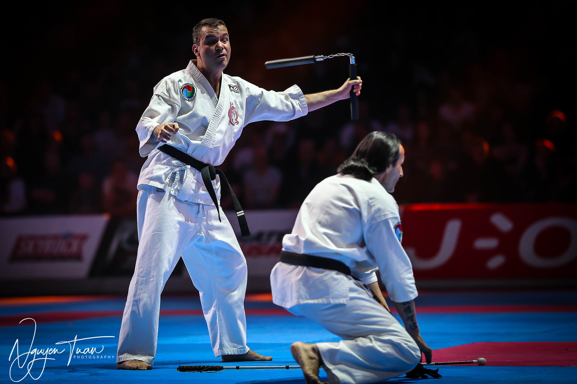 20190324 Festival des Arts Martiaux 5276